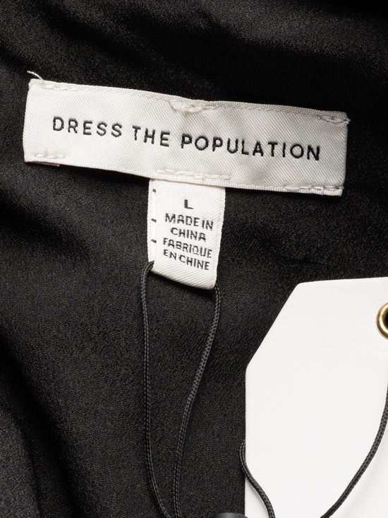 Dress The Population – Sabrina Floral Embroidered Dress - Picture 4 of 13